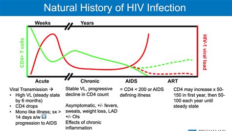 Natural History Of HIV Infection Timeline Of Progression Acute