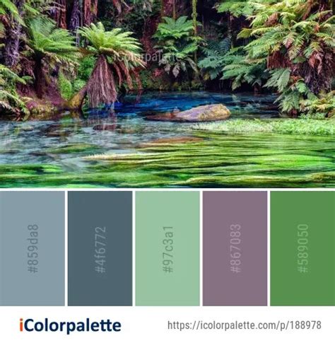 79 Rainforest Color Palette Ideas In 2024 Icolorpalette