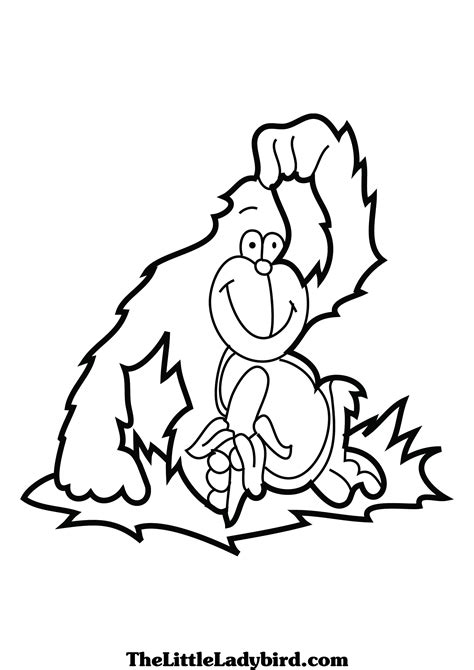 Each typically leads a troop (group size ranges from 5 to 30) and is in the center of the troop's attention, making all the decisions, mediating conflicts blackbacks may serve as backup protection. Silverback Gorilla Coloring Pages at GetDrawings | Free ...