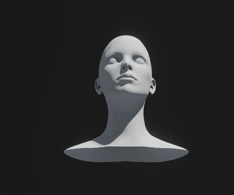 3d Model Collection Male Female Heads Base Mesh 3d Model Animated