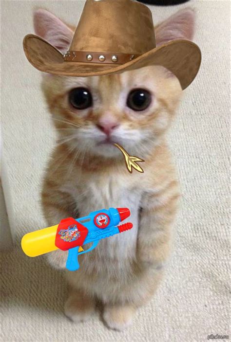 Cowboy Cat Anime Cat Kitten Kitty