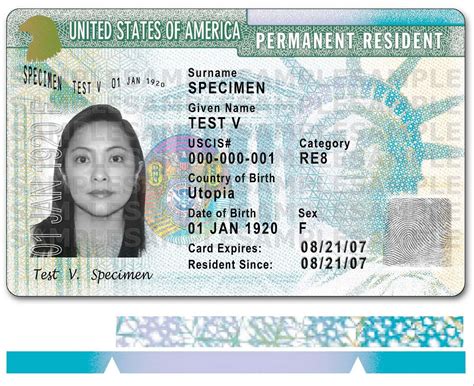 Being sponsored for a green card. News Line Templete: What is the Green Card Lottery?