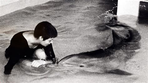 Bbc Four The Girl Who Talked To Dolphins Dealing With A Dolphins