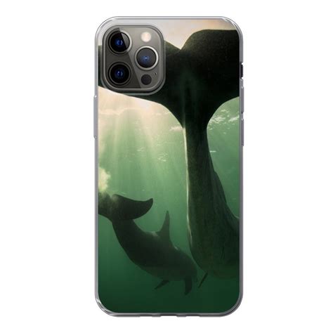 Muchowow Handyhülle Delfin Wasser Blau Handyhülle Apple Iphone 13 Pro Smartphone Bumper