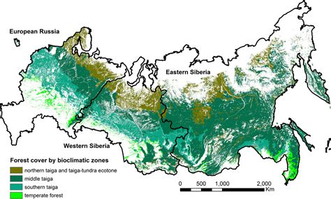 Forest Cover By Bioclimatic Zones In Russia Forest Map Map Forest