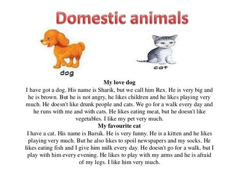 Custom Essay Order - dog essay - essaystudent.web.fc2.com