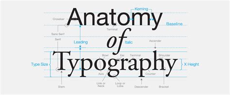 Desain Tipografi 6 Klasifikasi Jenis Font Serif Berdasarkan Bentuknya