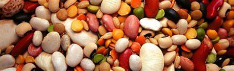 Рецепты диетических блюд диета 10 Диета с фасолью: рецепты диетических блюд Диета с фасолью: рецепты диетических блюд Рецепты диетических блюд диета 10