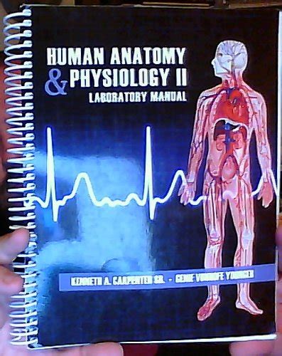 Human Anatomy And Physiology Ii Laboratory Manual Kenneth A Carpenter