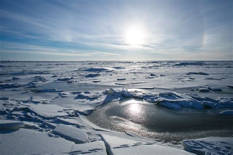 Winter Bay In Petersburg In December Stock Photo Image Of Landscape