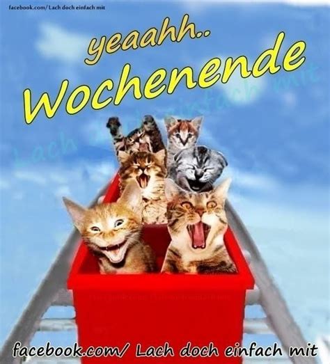 5 animierte gif bilder schones wochenende wunsche ich dir 6 coole bilder fur langes schones wochenende. Schönes Wochenende Bilder Für Whatsapp Kostenlos # ...