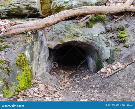 cave entrance in huge cliff in the forest with man standing in front stock image cartoondealer