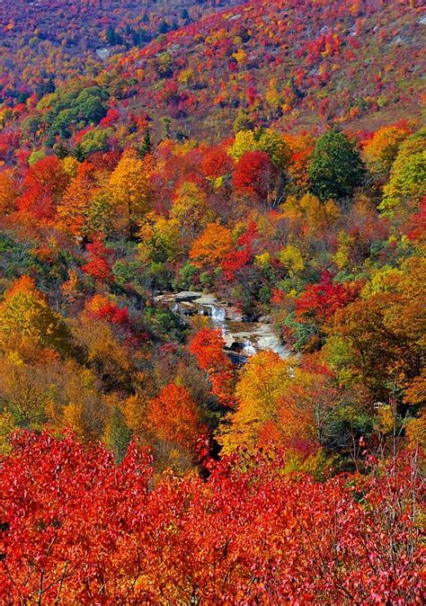 Stunning Fall Color Along The Blue Ridge Parkway In North Carolina