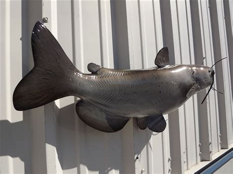 29 Inch Channel Catfish Fish Mount Replica Reproduction For Sale