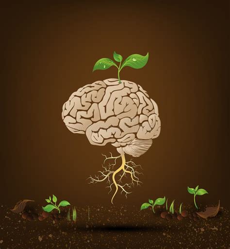 Brain Tree Illustration Tree Of Knowledge Stock Vector Illustration