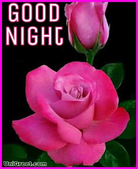 Collection Of Over Stunning Good Night Images Complete Set Of Beautiful Full K Good Night