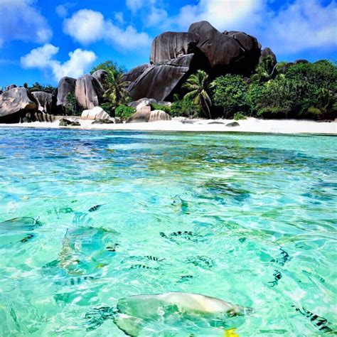 La Digue Seychelles Belle Plage Voyage En Afrique Paysage Paradisiaque