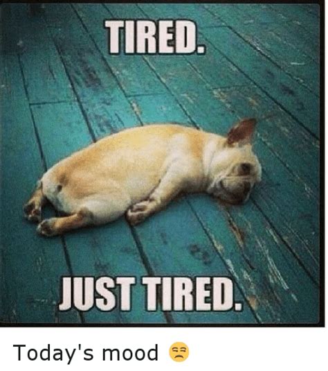 Tired Just Tired Todays Mood 😒 Funny Meme On Meme