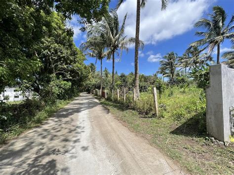 Hectare Land For Sale Along Tagaytay Nasugbu Hiway Alfonso Cavite My