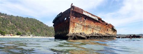 Tangalooma Wrecks Moreton Island Australia