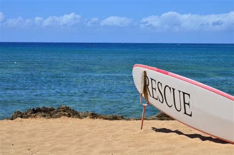 A Surfboard At Beach Stock Photo Image Of Recreation 38953186