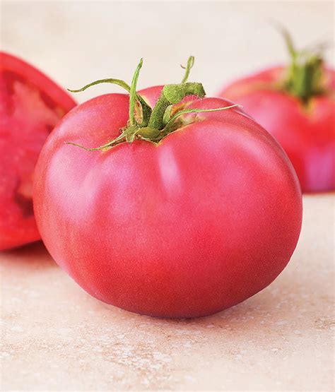 Precious Pink Hybrid Tomato Seeds Tomato Growers Tomato Growers