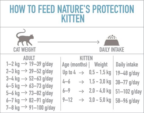 Ragdoll Kitten Weight Chart Kg About Agric