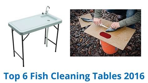 We did not find results for: 6 Best Fish Cleaning Tables 2016 - YouTube