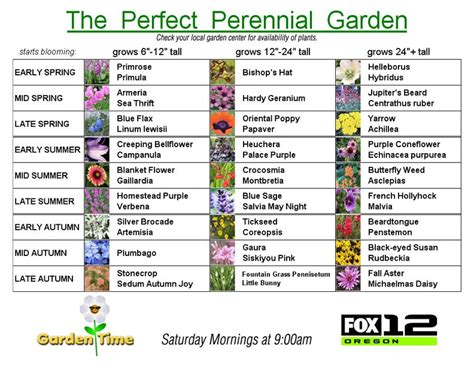 Famous Perennial Flowers Names And Pictures