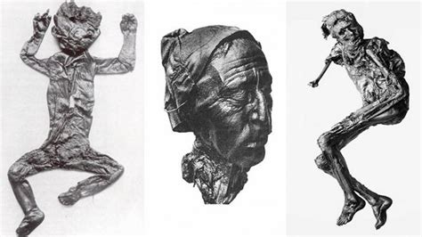 See The Gruesome Faces Of Death Bog Bodies Cvlt Nation