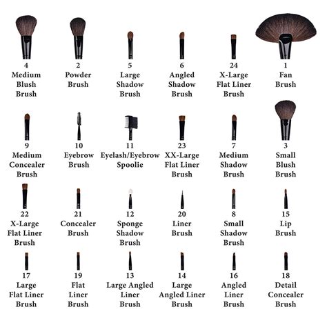 All Makeup Brushes Names And Uses
