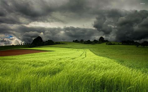 Storm Clouds Over The Green Field Wallpaper Nature Wallpapers 22744