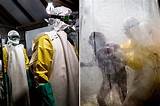 Controlling Ebola Outbreak Photos