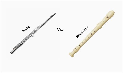 Flute Vs Recorder The Differences In Technique And Skill Required