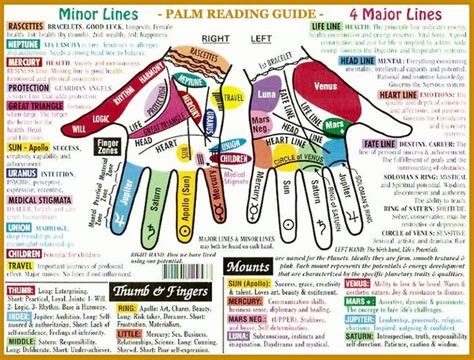 Palm Reading Guide Lines Mounts And Fingers Palm Reading Palm