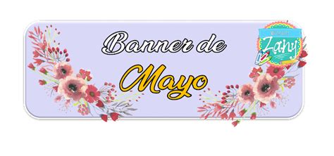 Banner De Mayo Materiales Zany
