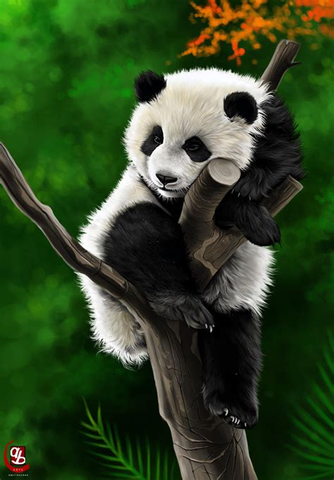 Panda Digital Painting 2400 X 3450px Rart
