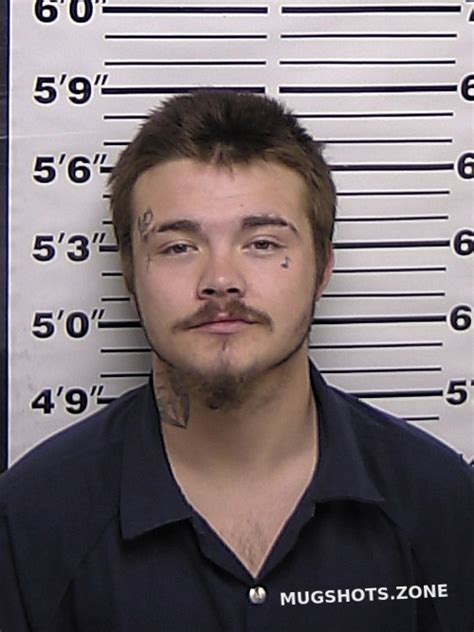 DAVIS BRANDON SCOTT 10 19 2022 Eddy County Mugshots Zone