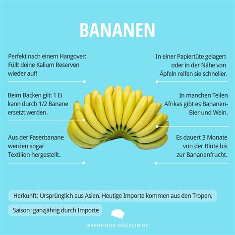 Gesundheitsfakten Und Wissenswertes über Bananen Brain Food Magazin