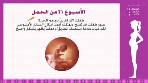 الشهر الخامس من الحمل الاعراض والمعلومات العامه للشهر الخامس اروع روعه