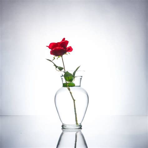 Submersible Red Rose Floral Wedding Centerpiece With Floating Etsy