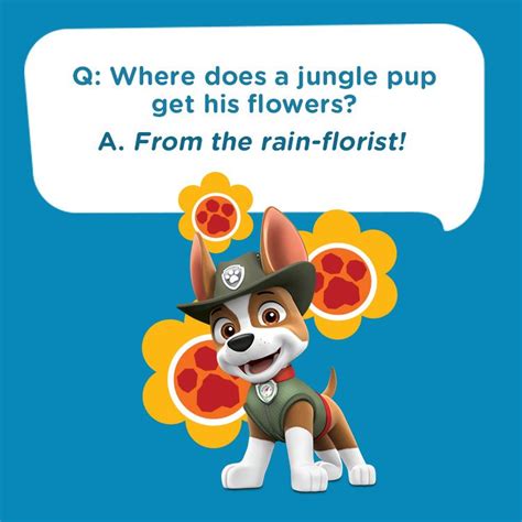 A Silly Rainforest Pun For Kids With Tracker The Jungle Pup From Paw