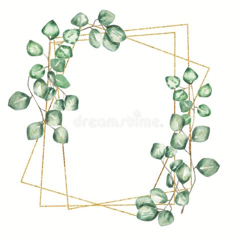 Watercolor Greenery Frame Illustration Green Eucalyptus Leaves And
