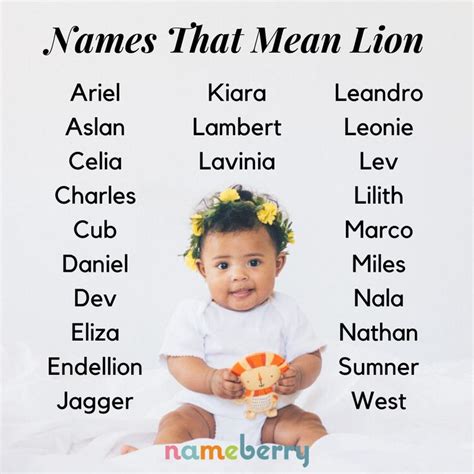 106 Fierce Names That Mean Lion Baby Names Cool Baby