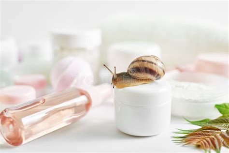 Spa Treatments With Snails Face Massage Snails Therapy Close Upsnail