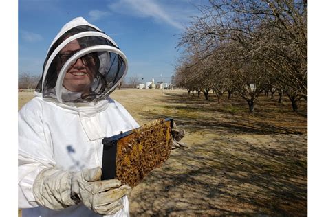 Public mutual utc connect is an online facility, as such you may be exposed to the risks associated with hardware and software failure. Startup connects beekeepers and landowners for mutual ...