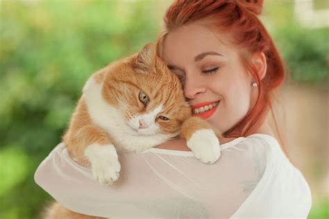 Understanding Cat Behavior Turn A Fondness For Felines Into Love Tipopedia