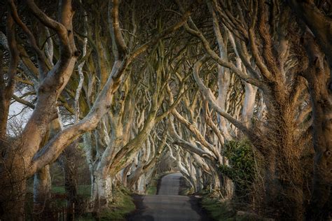 Photo 5 Of 11 In 11 Epic Game Of Thrones Locations To Add To Your