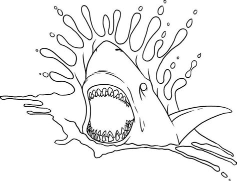 Check spelling or type a new query. The Best Printable Shark Coloring Pages in 2020 (With ...
