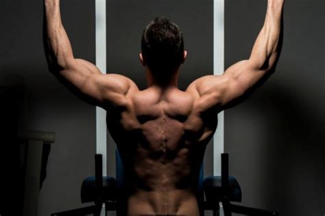 Understanding these terms will make the. 5 Exercises For Thick And Strong Back Muscles ...